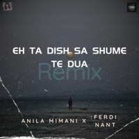 Eh ta dish sa shume te dua (feat. Anila Mimani) [Remix] - Single - :FERDI NANT