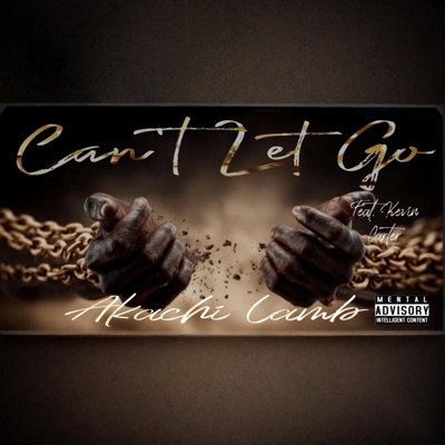 Can't Let Go (feat. Kevin Carter) - Single