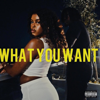 What You Want - Single