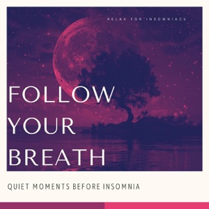 Follow Your Breath - Quiet Moments Before Insomnia