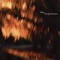 Withered - Bloom lyrics