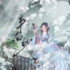 半面纱 - Single