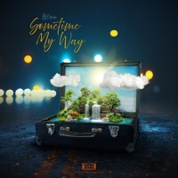 Sometime My Way - Single - M.Edison