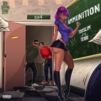 Ammunition (feat. Terri) - Single - Tooslim