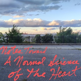 From Manhattan Bridge (feat. Jak Lizard) J. J. Hayes