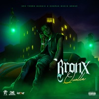 Bronx - Single - Qwella
