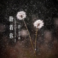盼着你 - Single - 群可 & 孙羽幽