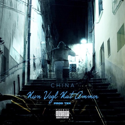 Nun vogl nat ammor (feat. Tex) - Single