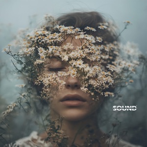 Hyperacusis Therapy: Overcome Noise Anxiety with Uninterrupted Relaxation