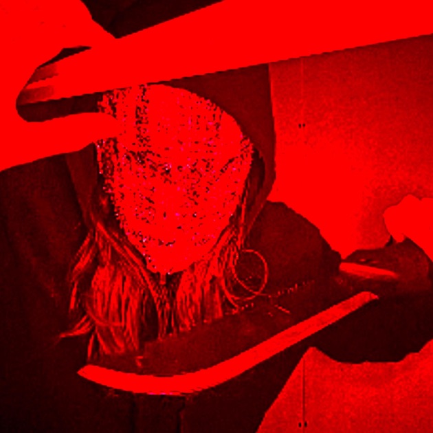 【専用】SLOW TORTURE PUKE CHAMBER DVD　ホラー slow torture puke chamber!! - Single - Album by chyb3r