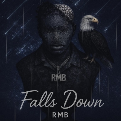 Falls Down - Single