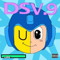 DS V.9 - DDip
