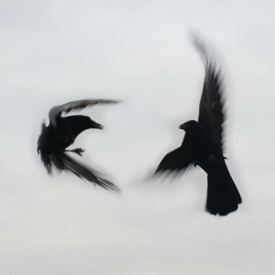 What You Say - Single