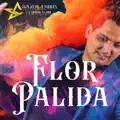 Flor pálida