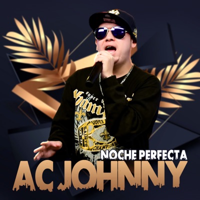 Noche Perfecta - Single