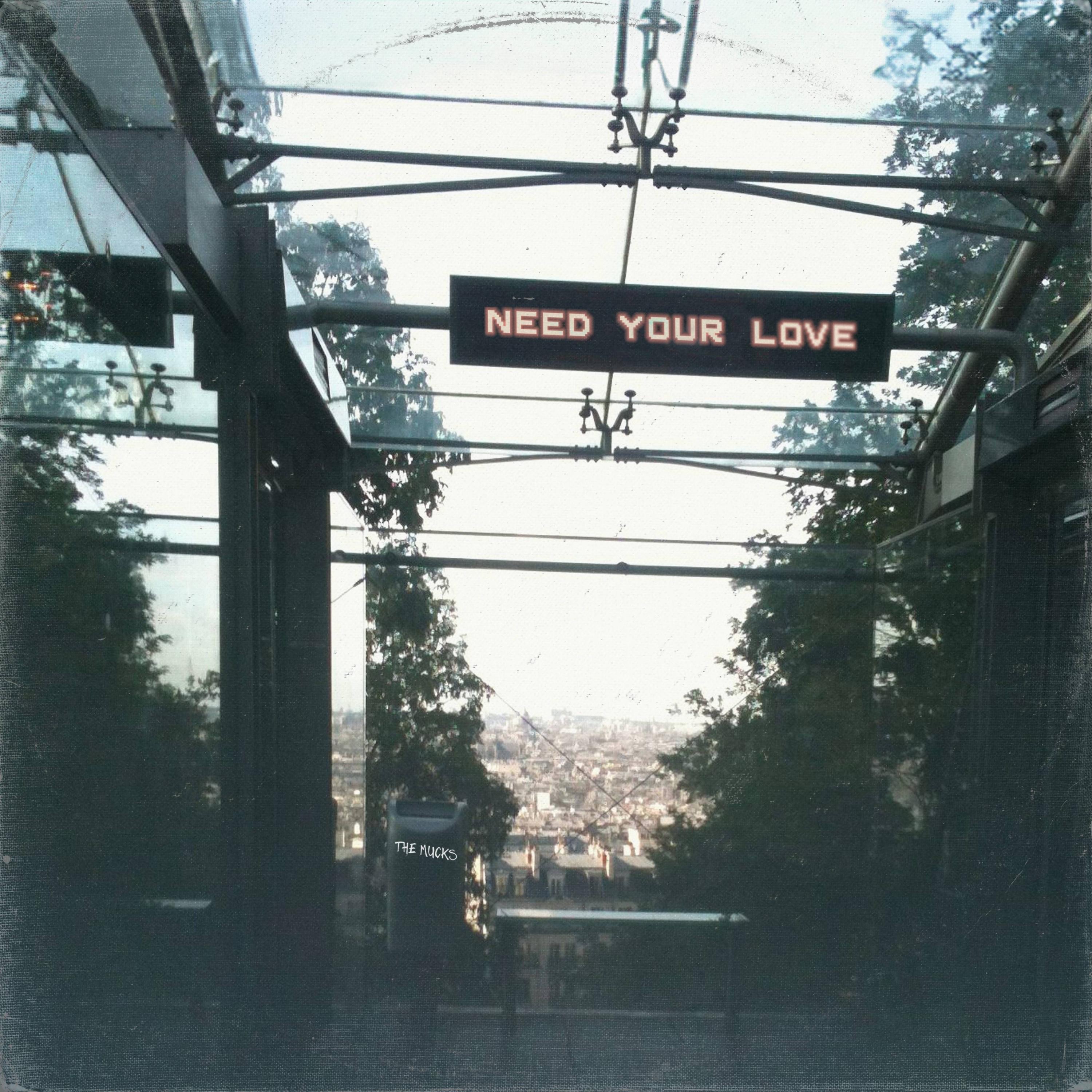 Need Your Love - Single