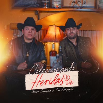 Coleccionando Heridas - Single