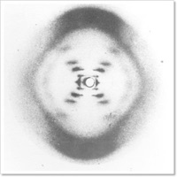 ADN - Single - HAN-Z