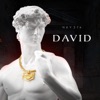 David