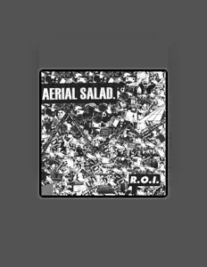 Aerial Saladを聴いたり、ミュージックビデオを鑑賞したり、経歴やツアー日程などを確認したりしましょう！