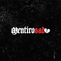 Mentirosad (feat. Karen Malacara) - Single - Dvny T