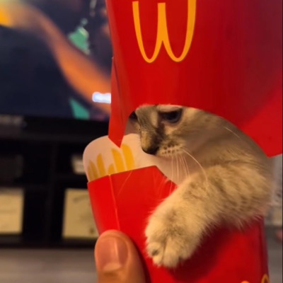 stealmyfryugondie - Single