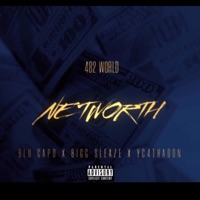 Networth (feat. Bigg Sleaze & Yc4ThaDon) - Single - Blu Capo