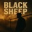 Black Sheep