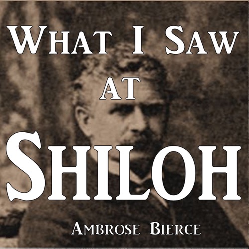 What I Saw at Shiloh (Unabridged) cover