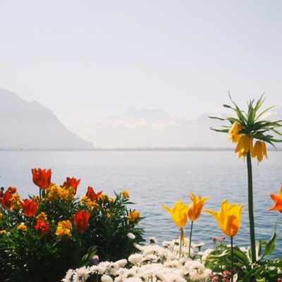 Scoff Han - Hate my sincerity