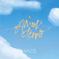 Amor Eterno - Single - Vaes