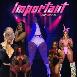 Important (Remix) (feat. London Hill, S3nsi Molly, TeeFromTx, Pap Chanel, China Monai & KaineMusic) Boss Paasta
