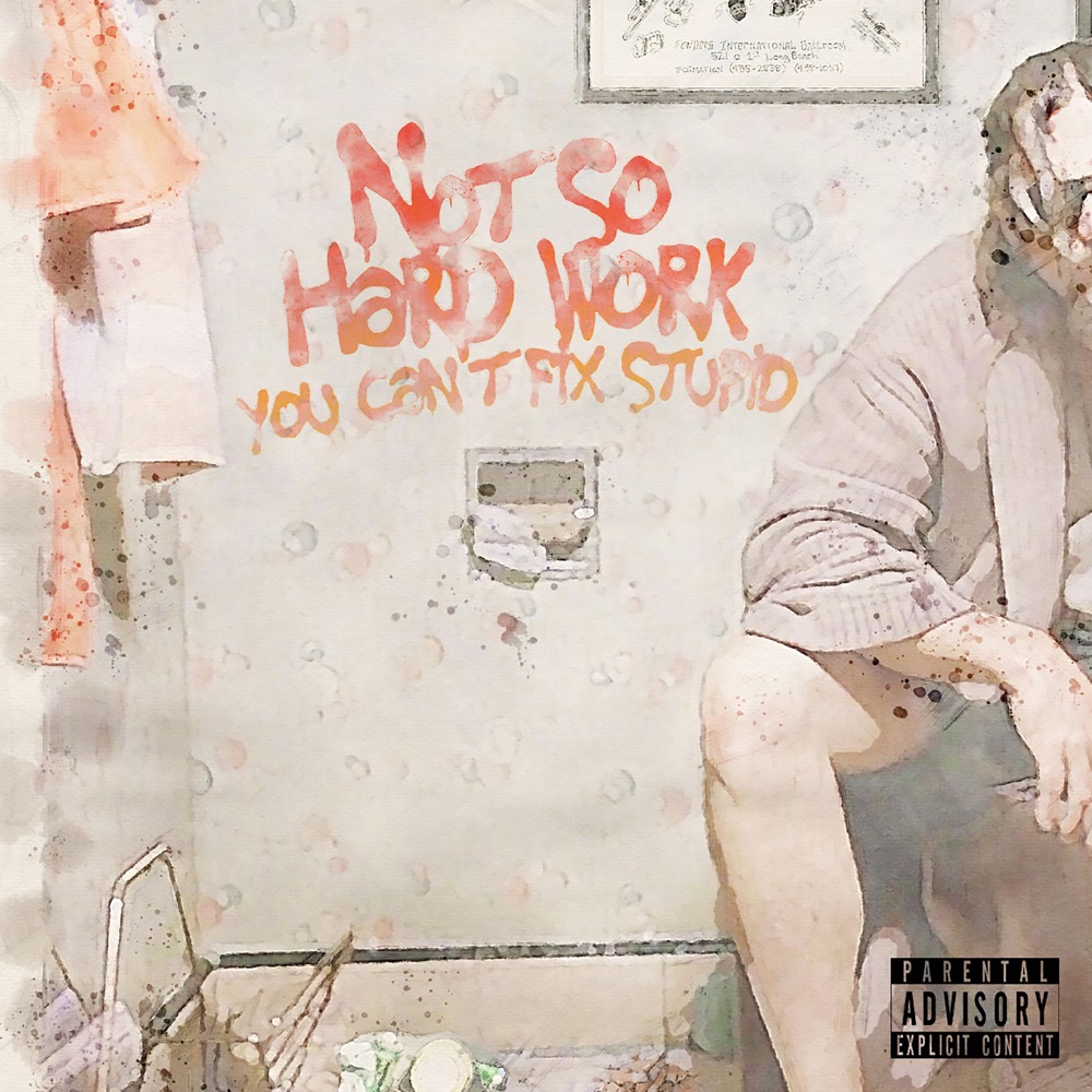 Not So Hard Work – You Can't Fix Stupid