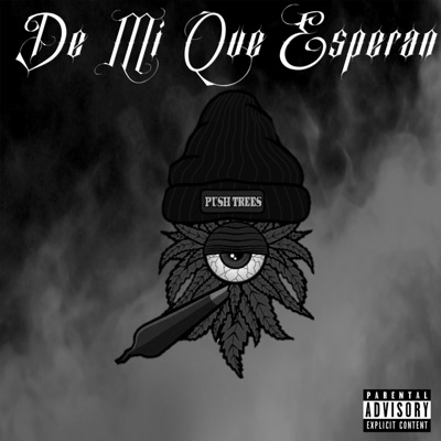 De Mi Que Esperan (feat. OG's Flow) - Single