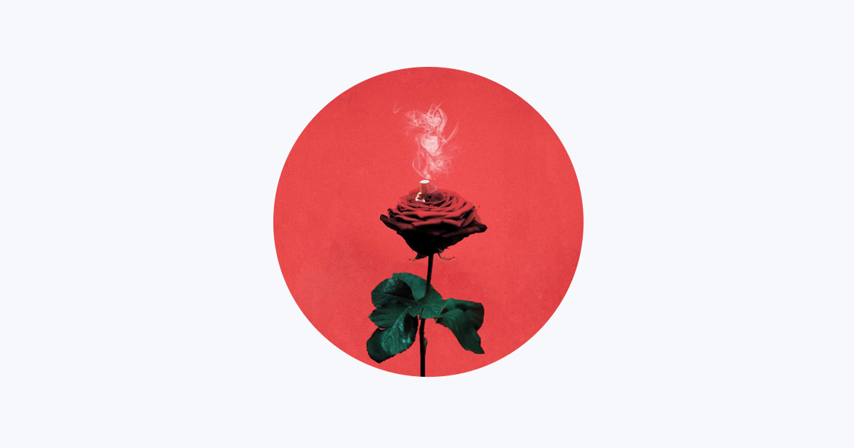 Salute - Apple Music