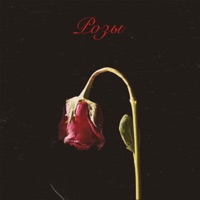 Розы - Single - DiUv & Joodey