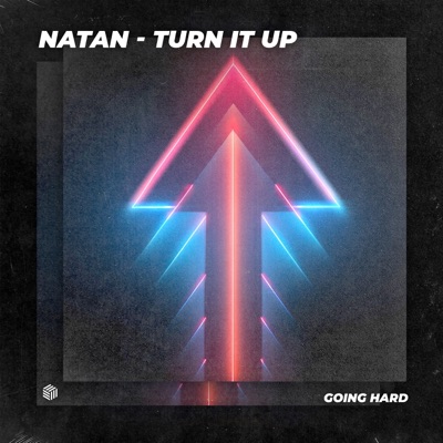 Turn It Up - Single