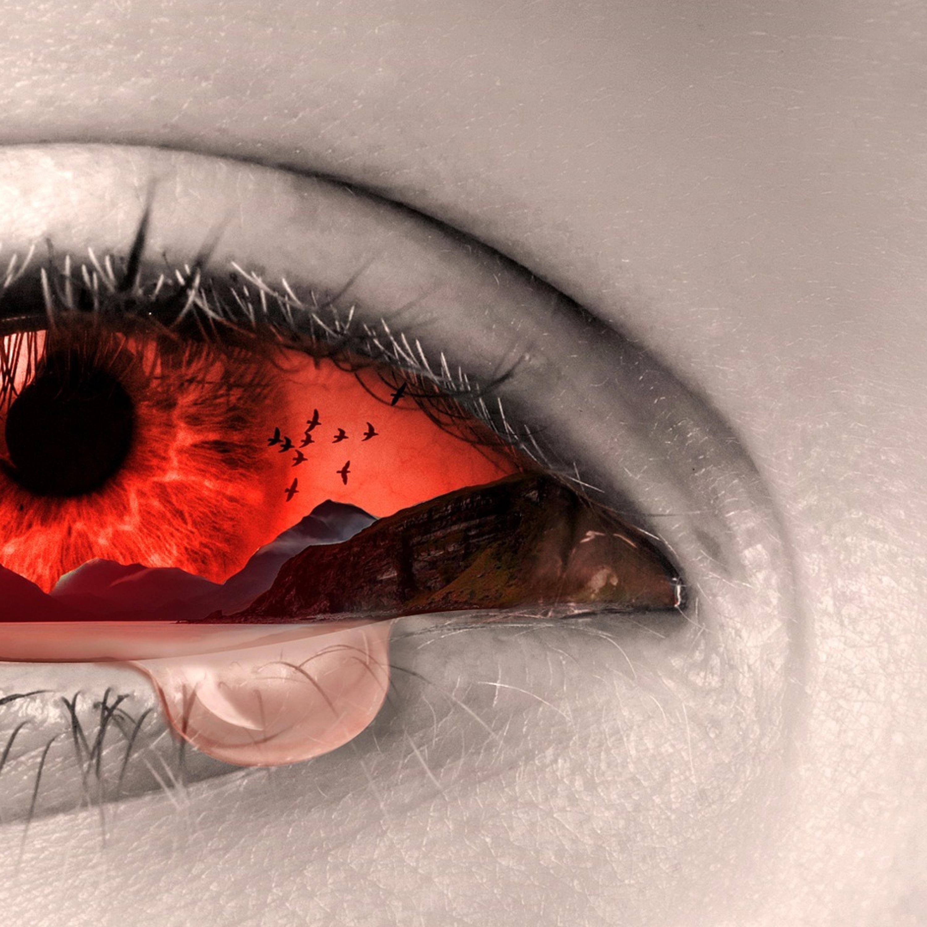 Shutdown Season - Single