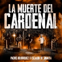 La Muerte Del Cardenal (En Vivo) - Single - Pachis Bojorquez & Escalon De Sinaloa