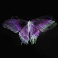 About Us - Single - Kubilay Aydin & Aytac Ozalp