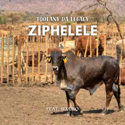 Ziphelele (feat. Wxcko) - Single