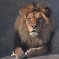 Destino - Single - Dr Lord dj