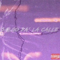 Salgo Pa' la Calle (feat. EL ZAHX) - Single - MUQERMX
