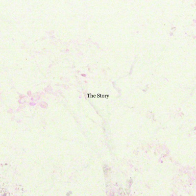 The Story - Single