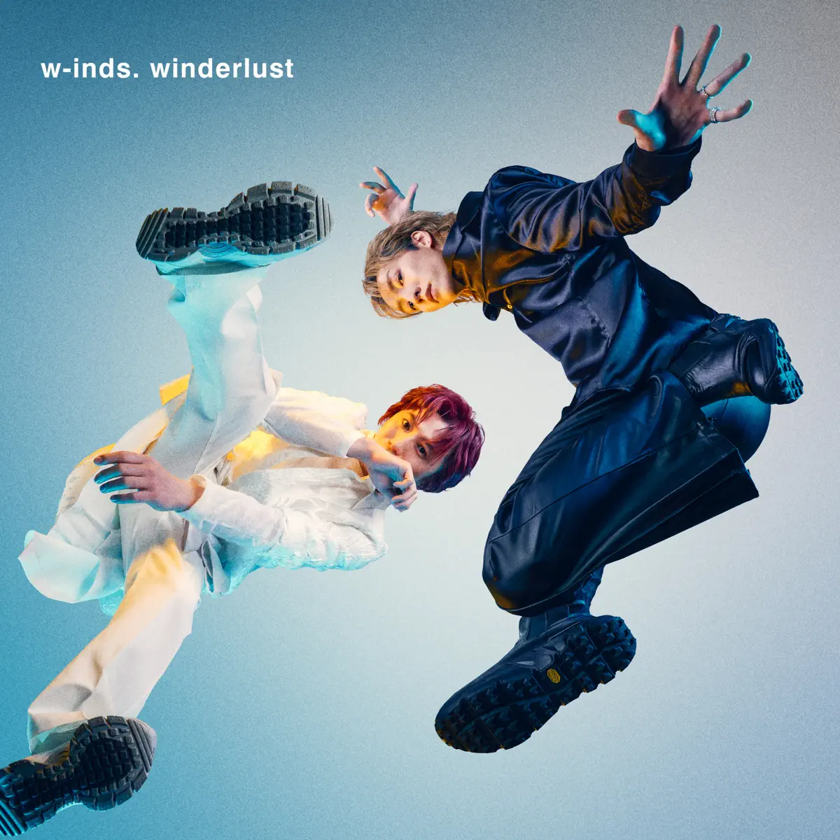 w-inds. – winderlust (2025) [iTunes Plus AAC M4A]-新房子