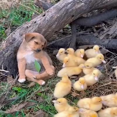 my life story ig - Single