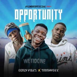 Opportunity (feat. Donzy Vibes & Timmhydee)