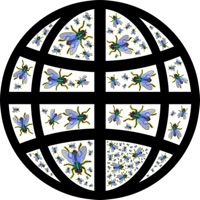 Caught In the Web - EP - The Happy Somethings