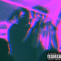 CRAZY (Slowed + Reverb) - Single - Zylvain & Lavender Ronin