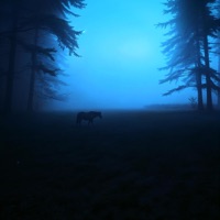 lost - Single - under lunar